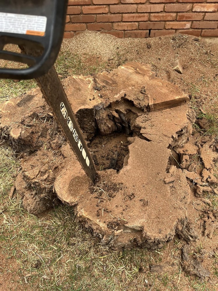tree removal