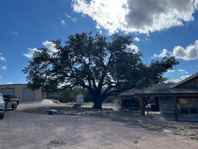 The Tree Guys of WTX
