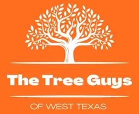 The Tree Guys of WTX