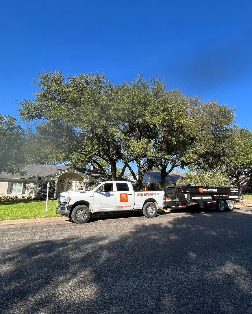 Tree service contractor